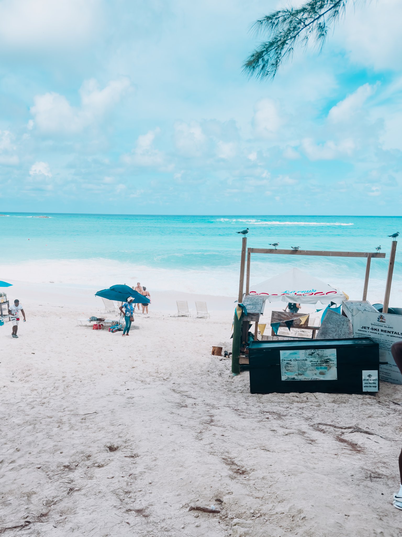 Nassau Cruise Port - Cabbage Beach in Nassau - Nassau-Bahamas - 09-06-2024 - Vertical.jpg