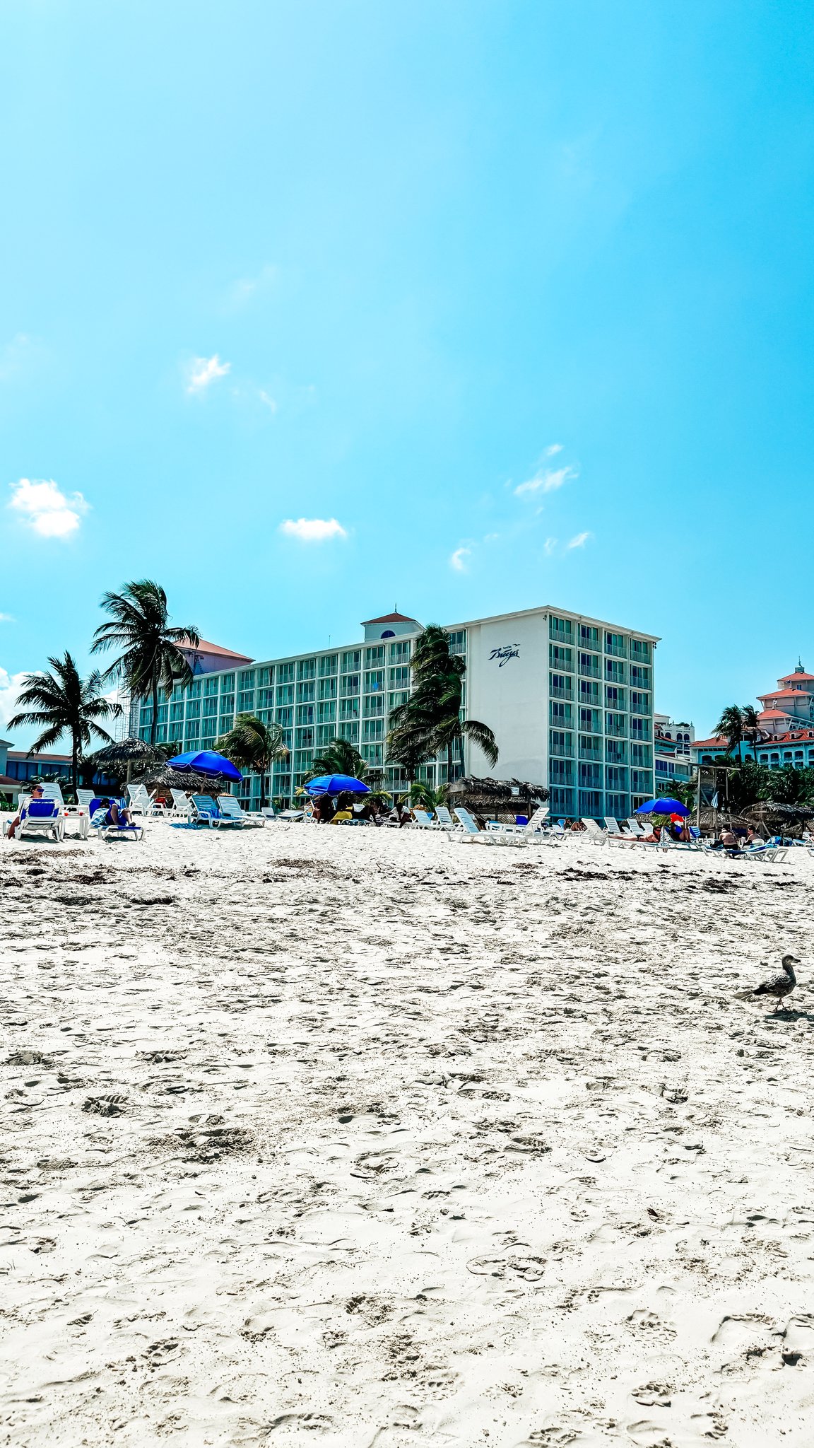 Nassau Cruise Port - Cable Beach - Beachfront resort with palm trees and blue sky - 03-02-2025 - Vertical.jpg