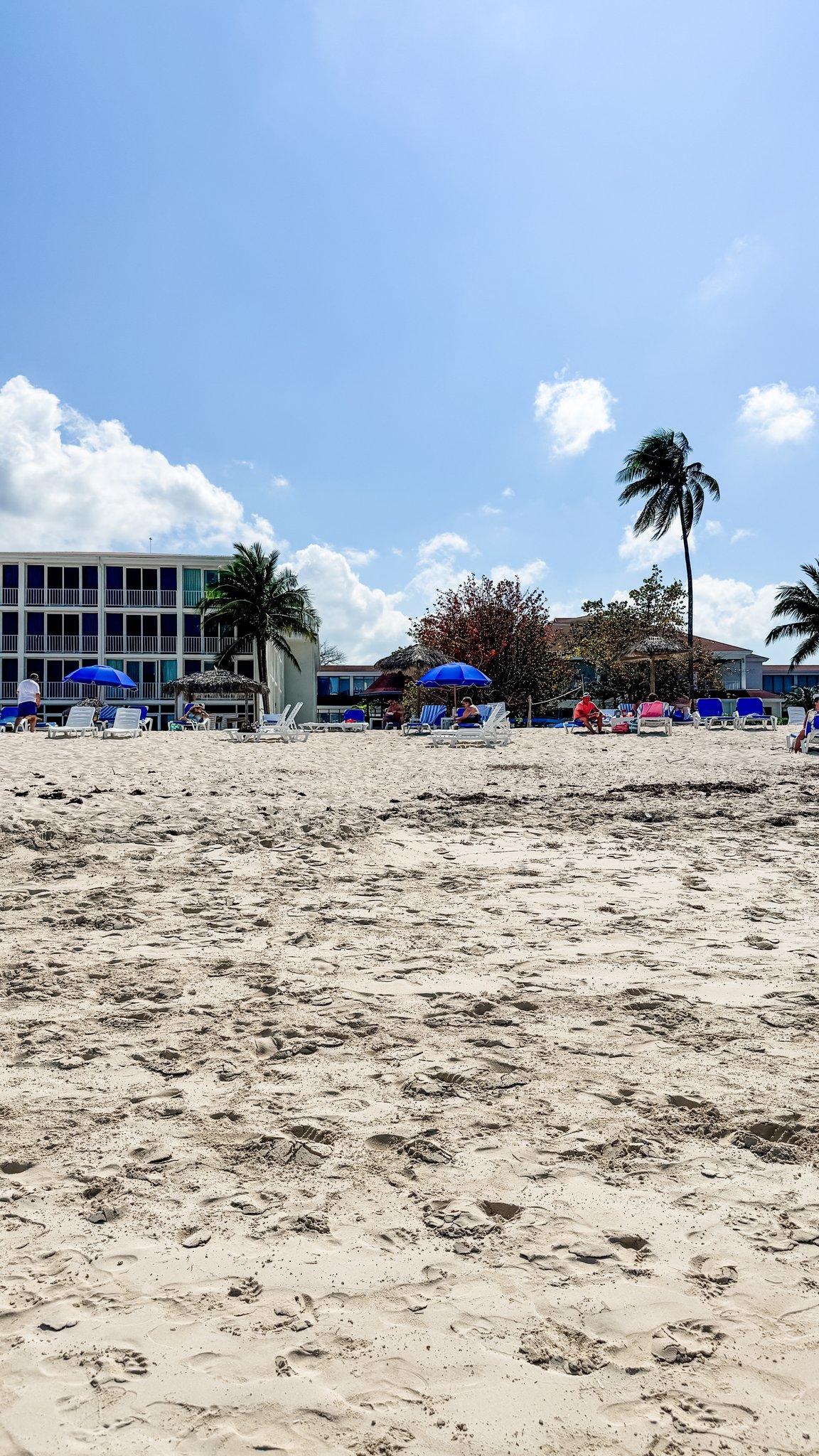 Nassau Cruise Port - Junkanoo Beach - A sunny beach scene with palm trees and umbrellas - 03-02-2025 - Vertical.jpg