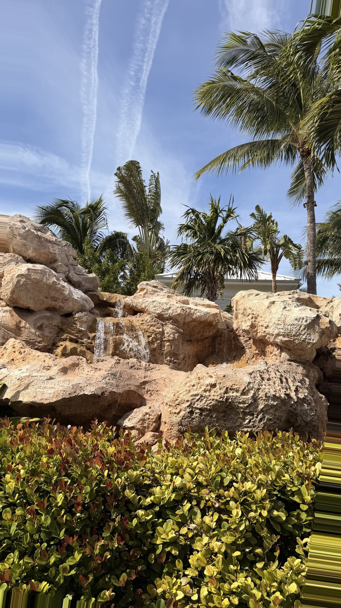 Nassau Cruise Port - Palm Trees and Waterfall Landscape - 11-06-2025 - Vertical.jpg