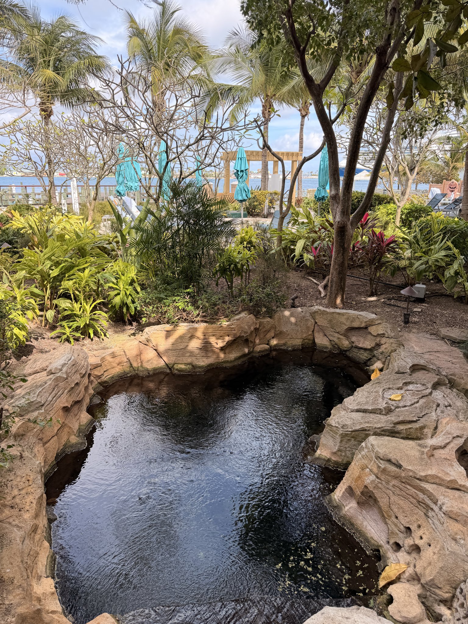Nassau Cruise Port - Queens Staircase - Waterfall cascading over rocky cliff - 02-05-2026 - landscape.jpg