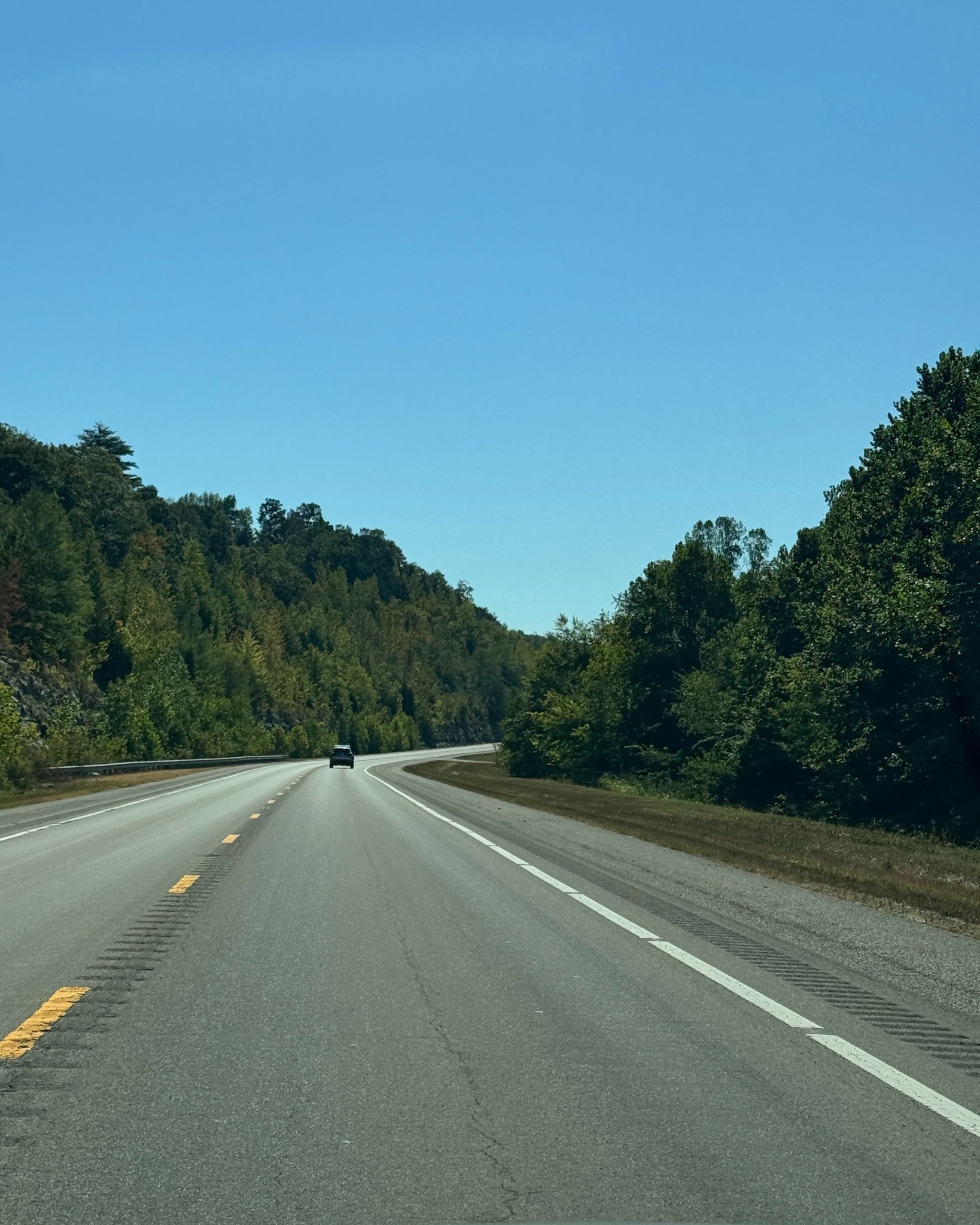 Norfolk Cruise Port - Highway Through Green Forest Hills - Vertical 07.jpg