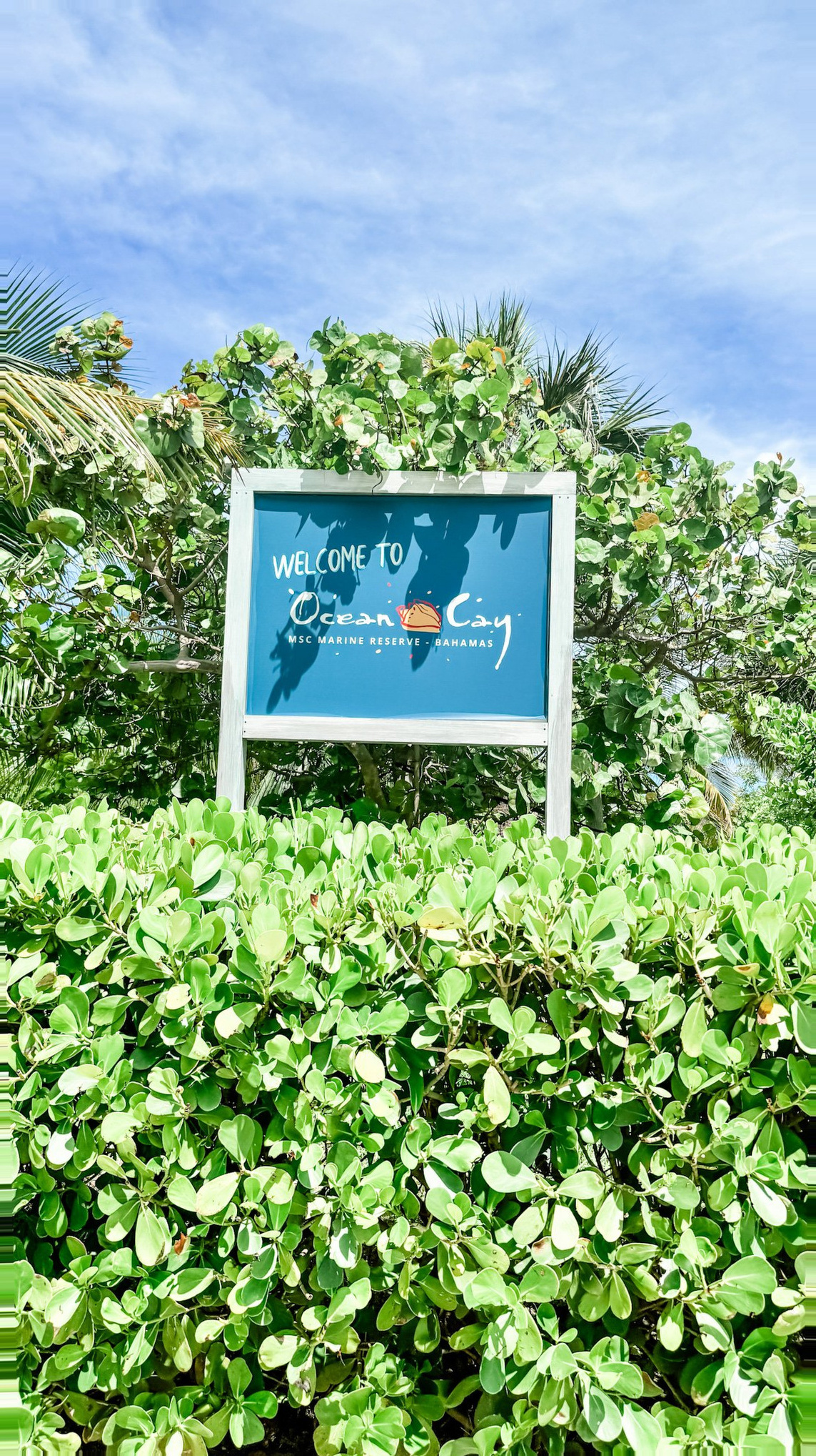 Ocean Cay Cruise Port - MSC Private Island Welcome Marine Reserve - 07-05-2024 - Vertical.jpg