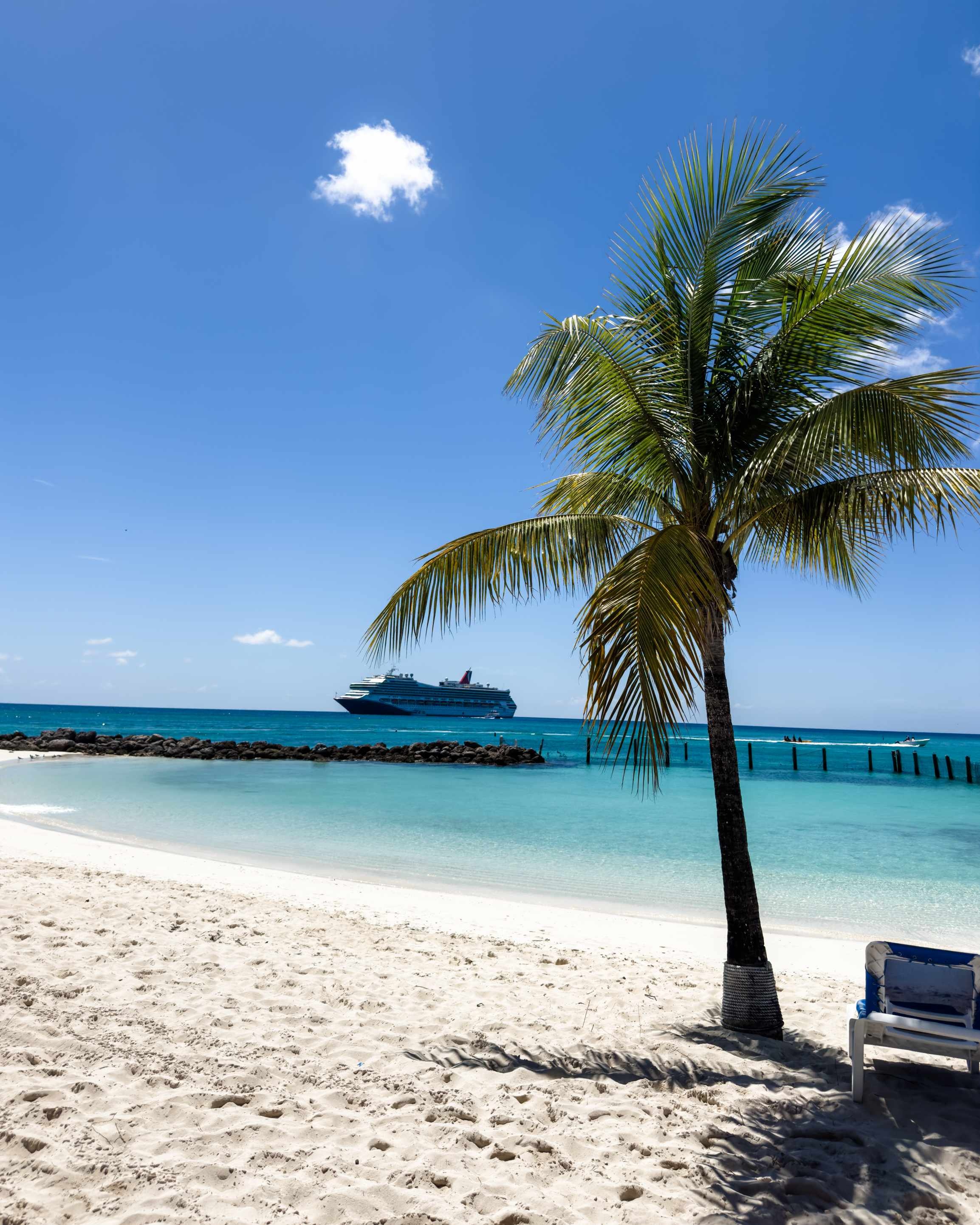 Princess Cays Cruise Port - A Palm Tree on a Beach with a Cruise Ship in the Background Princess Cays Vertic - Vertical.jpg