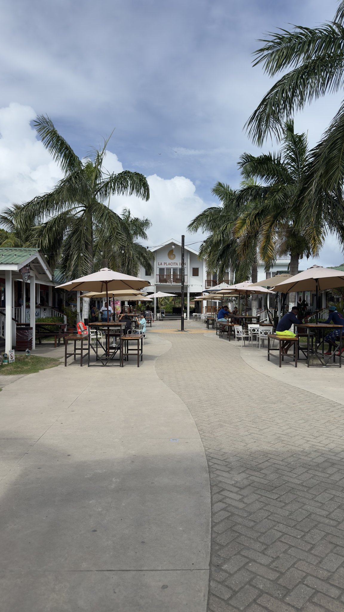 Roatan Cruise Port - Honduras Honduras Palm Tree Patio Umbrellas Restaurant - 02-05-2025 - Vertical.jpg