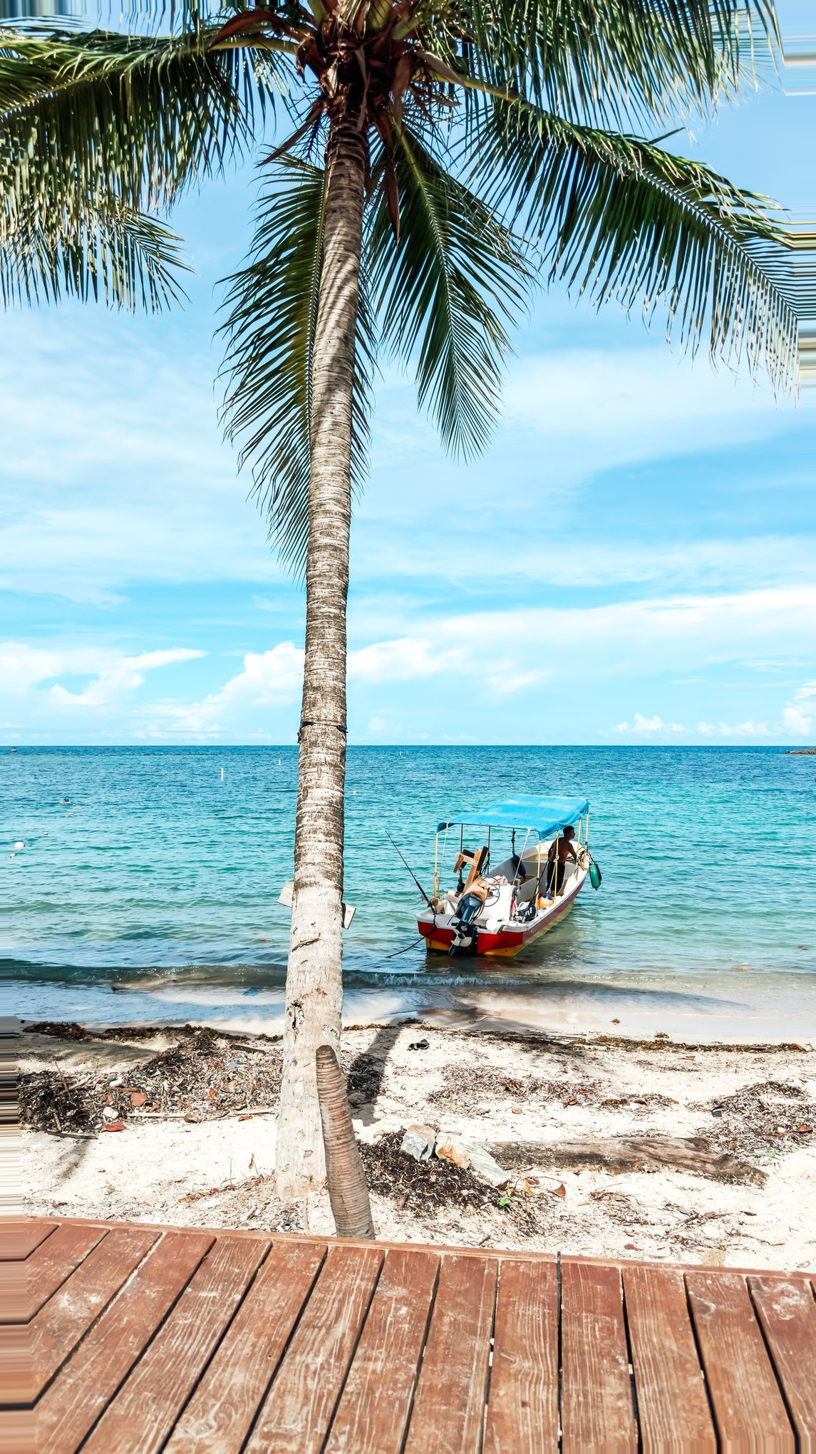 Roatan Cruise Port - Honduras West Bay Palm Tree Beach Wooden Dock - 10-16-2024 - Vertical.jpg