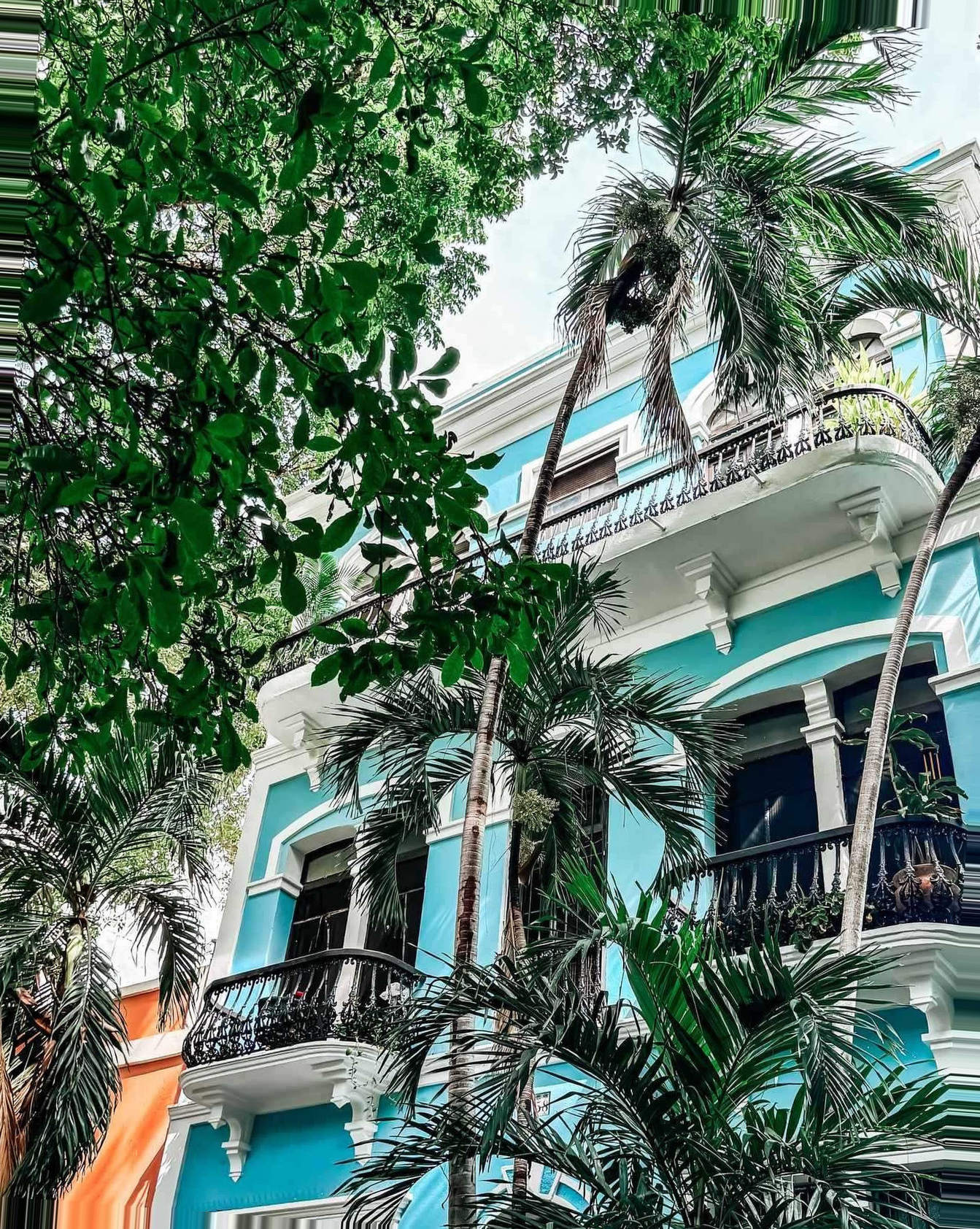 San Juan Cruise Port - A Blue and White Building with Palm Trees in Front of it San Juan X S - Vertical.jpg