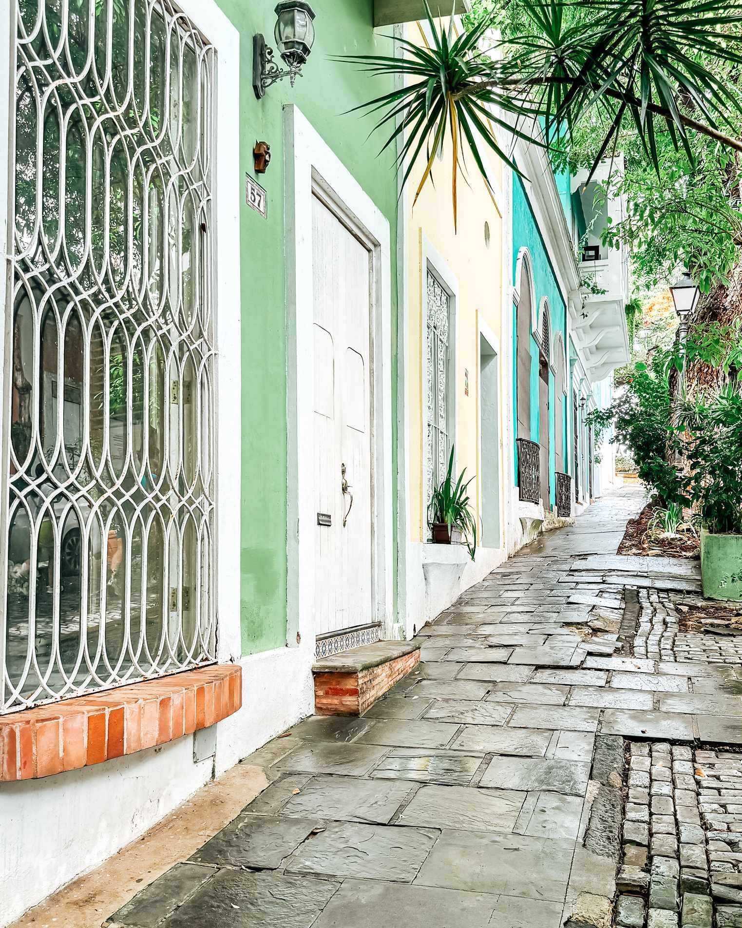 San Juan Cruise Port - A Street Lined with Colorful Buildings and Trees San Juan X - Vertical.jpg
