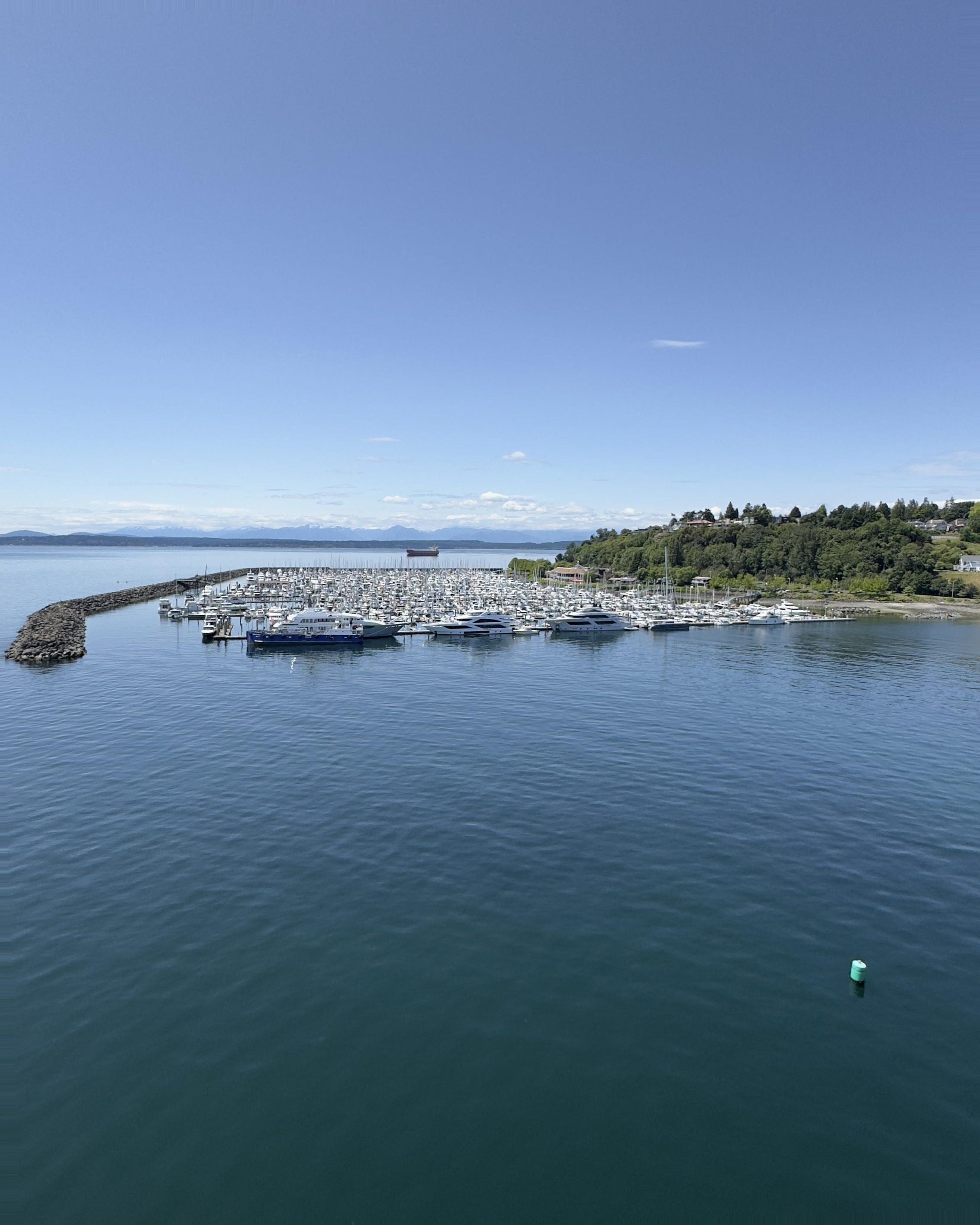 Seattle Cruise Port - A Body of Water with a Bunch of Boats in it - Vertical.jpg