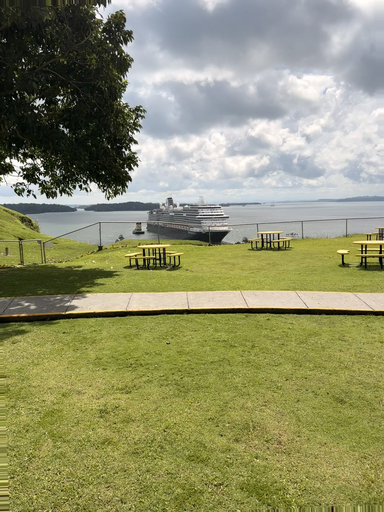 Colon Panama Cruise Port - Cruise Ship Docked Beside Grassy Overlook - 01-04-2026 - Vertical.jpg