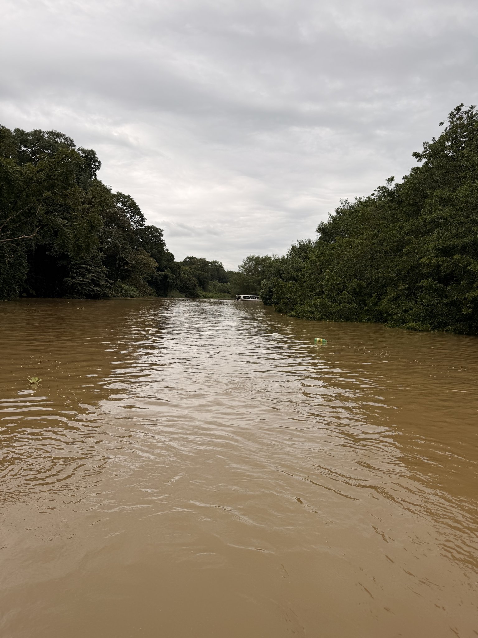 Limon Costa Rica Cruise Port - Scenic River Surrounded by Lush Greenery - 01-05-2026 - Vertical.jpg