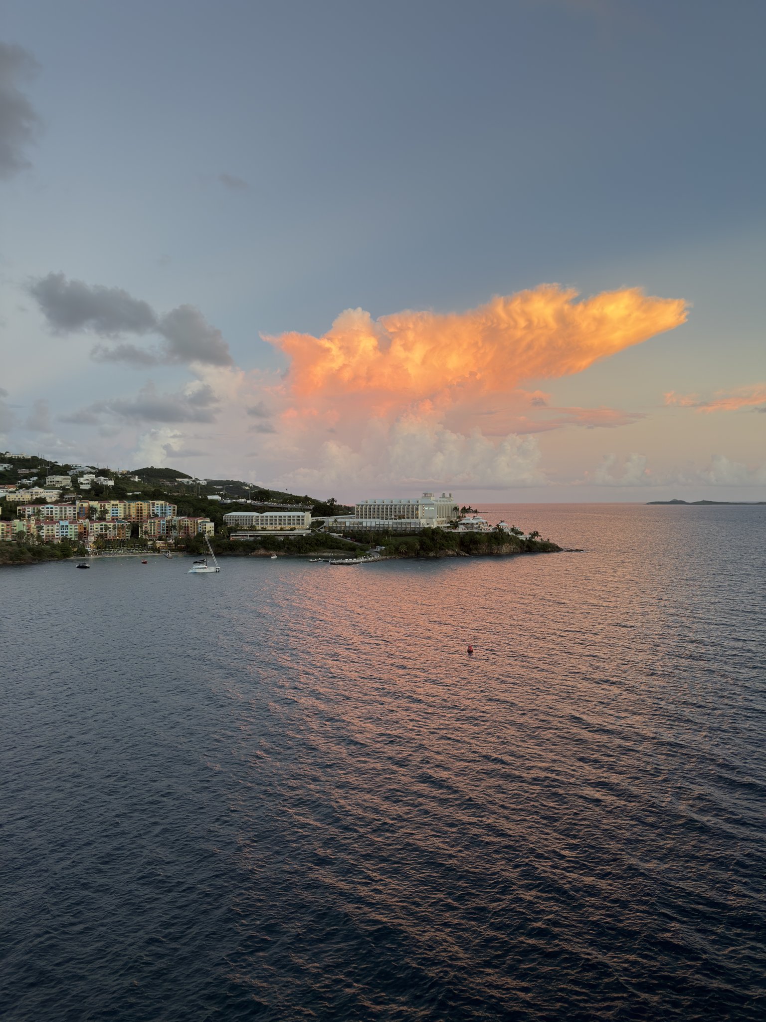 St Thomas USVI Cruise Port - Coral World Ocean Park Entrance Mural - 10-26-2025 - Vertical 92.jpg