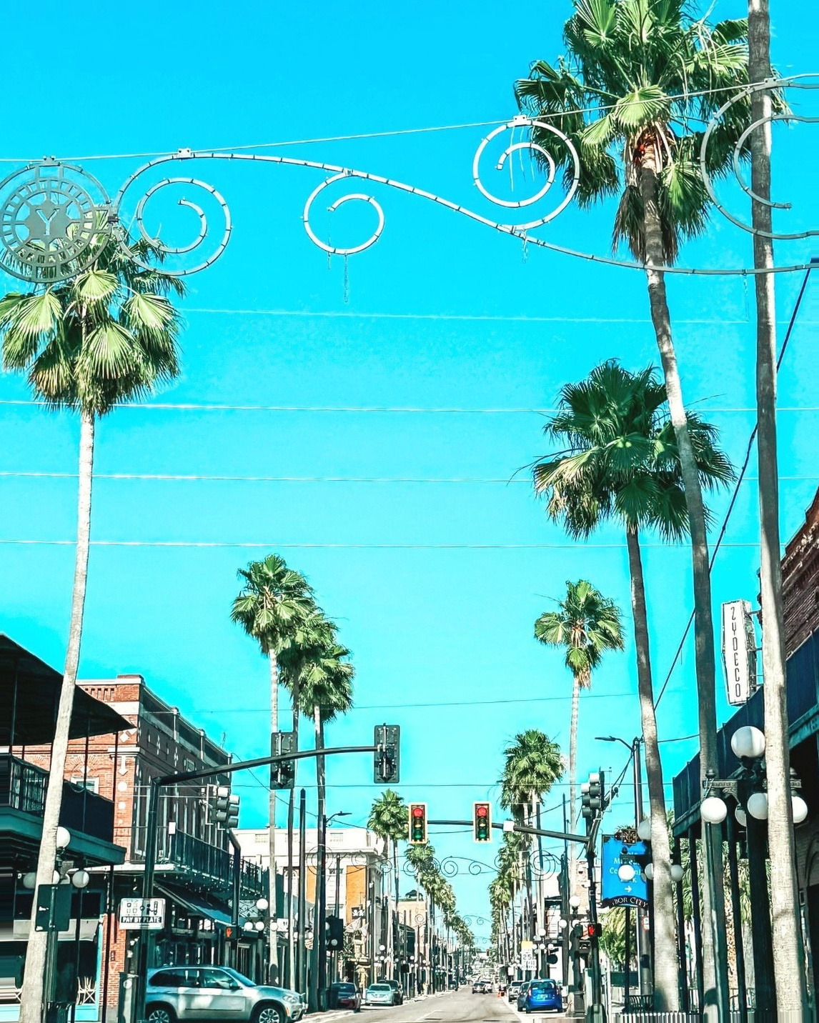 Tampa Cruise Port - A Street with Palm Trees and a Bicycle Sign - Vertical.jpg