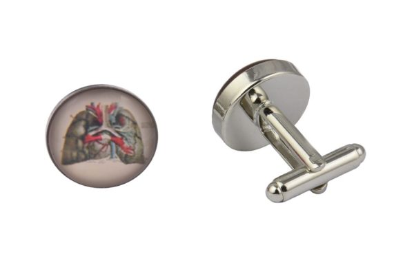 Lungs Colourful CGHC0543 Lungs Colourful CGHC0543