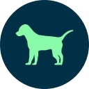 askDANTE systems GmbH