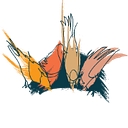 Blackbird Collective
