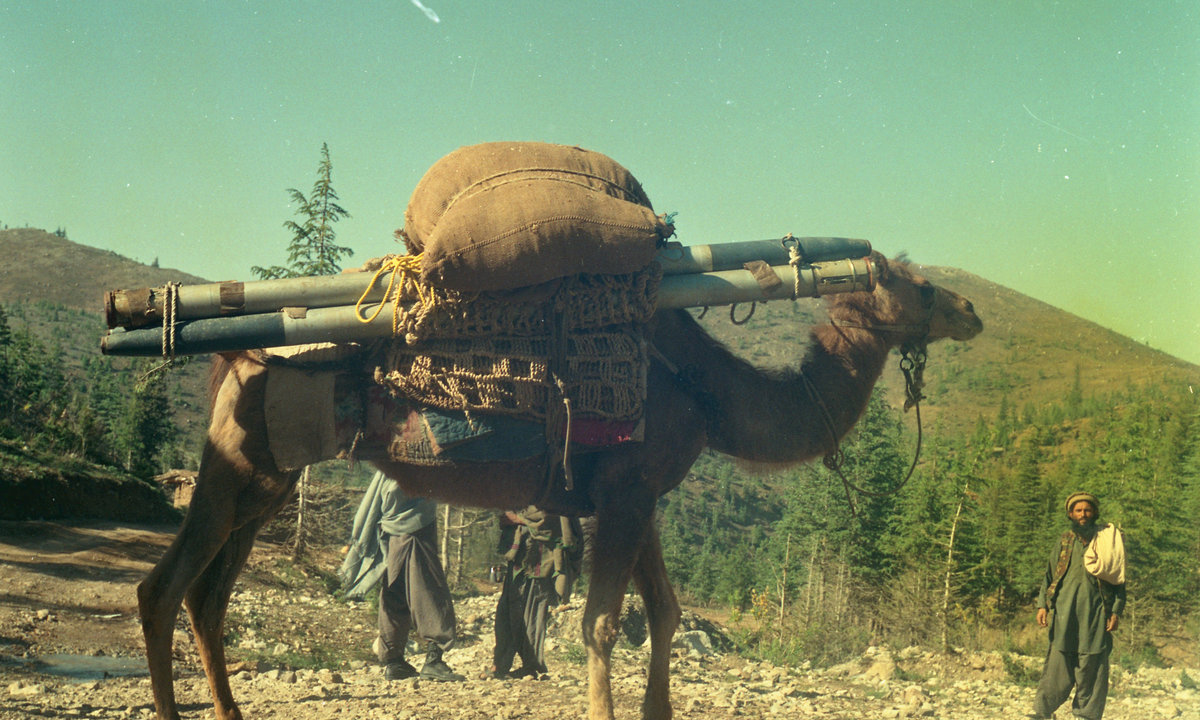 Trail Mix for Camel Rides
