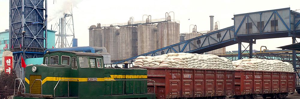 First Quarterly Economic Plan Fulfilled in DPRK - Image 6