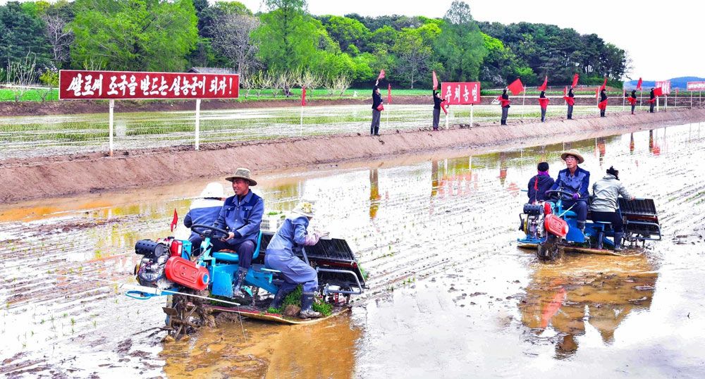 Success in Introducing Mechanization into Agriculture on Comprehensive Scale - Image 5