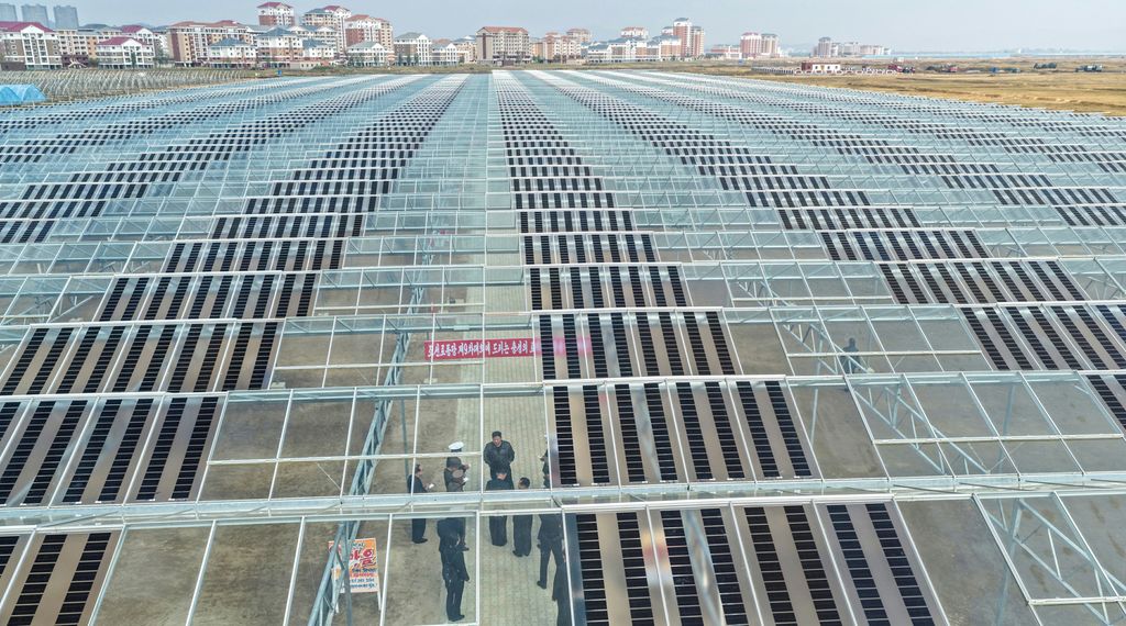 Respected Comrade Kim Jong Un Guides Construction of Sinuiju Combined Greenhouse Farm Again - Image 5