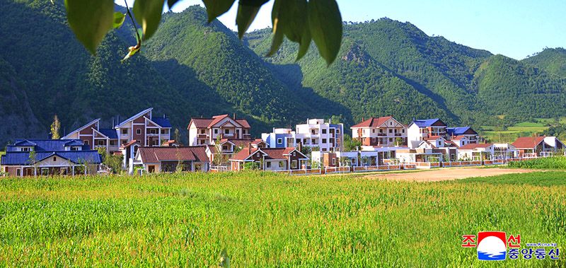 Farmers move into new houses in Hoeryong - Image 5