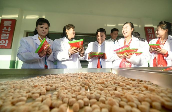 Regional-Industry Factories Inaugurated in Hamju County of DPRK - Image 21