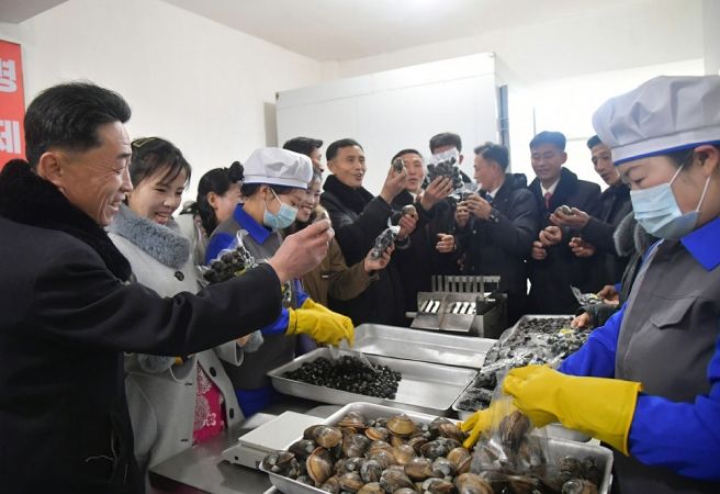 Regional-Industry Factories Inaugurated in Hamju County of DPRK - Image 19