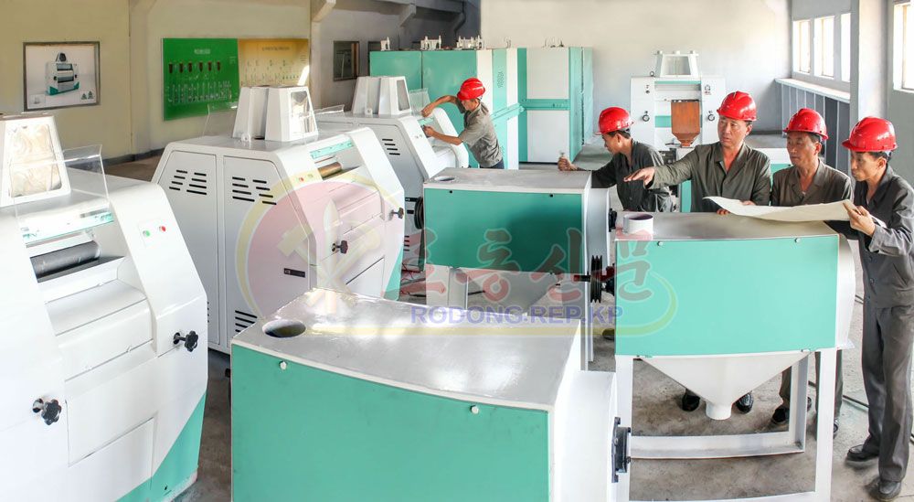 Wheat Processor of High Efficiency Manufactured