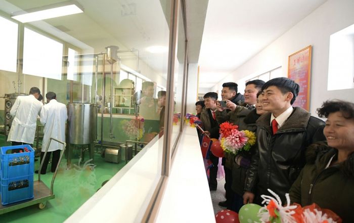 Regional-Industry Factories Inaugurated in Kyongsong County of DPRK - Image 25
