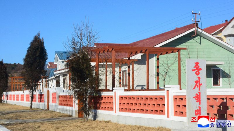 Today's News - Image 40