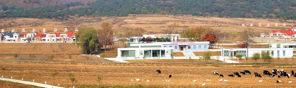 Public Buildings Built at Dairy Cattle and Goat Farm in Rason Municipality of DPRK - Image 6