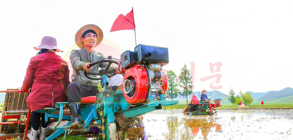 Validity and Vitality of Our Party’s Policy on Irrigation Construction - Image 3