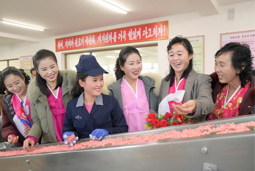 Regional-Industry Factories Inaugurated in Paechon County of DPRK - Image 5