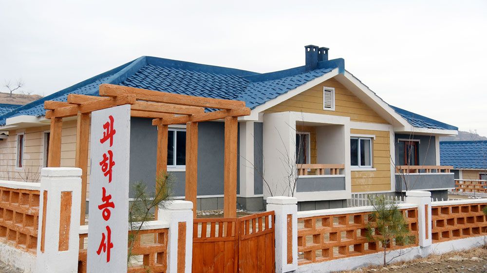 Agricultural Workers Move into New Houses in North Phyongan Province of DPRK - Image 12