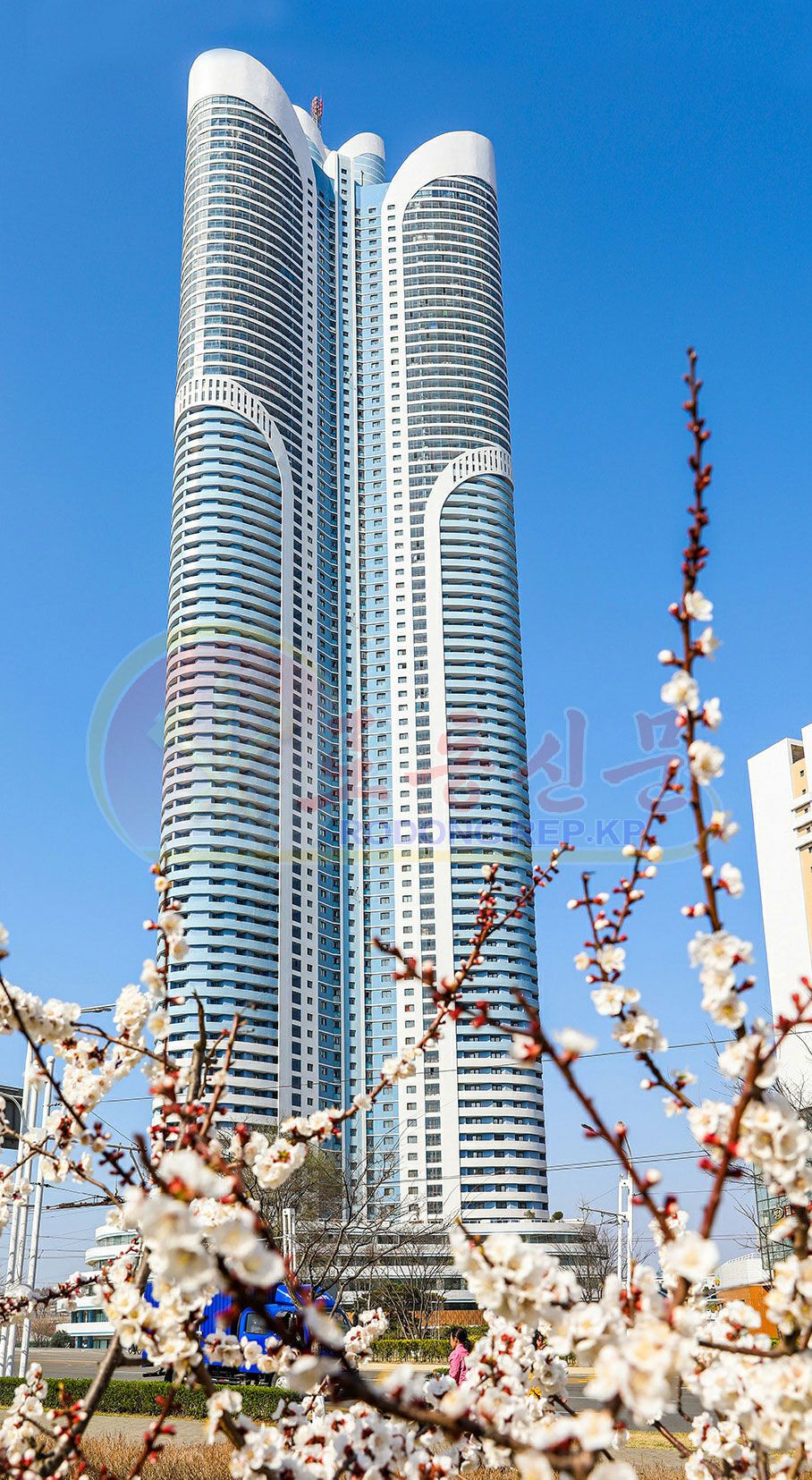 Capital City Full of Flower Fragrance - Image 7