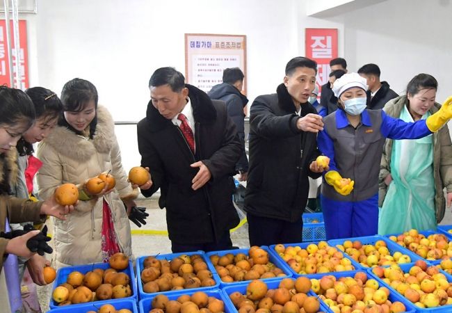 Regional-Industry Factories Inaugurated in Hamju County of DPRK - Image 23