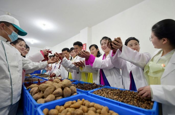 Regional-industry Factories Inaugurated in Ichon County of DPRK - Image 12