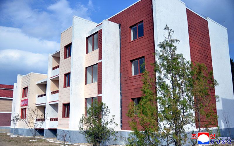 Ceremony of moving into new houses held at Kumsaem Farm of Kangwon Province - Image 5