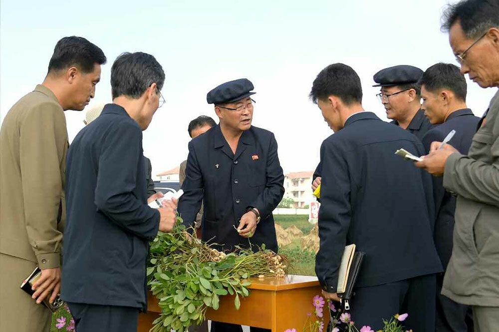 DPRK Premier Inspects Various Sectors