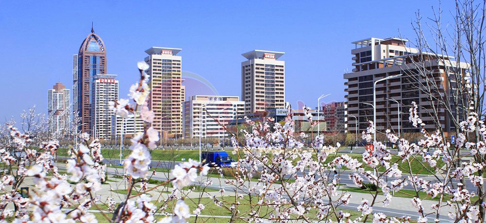 Capital City Full of Flower Fragrance - Image 3