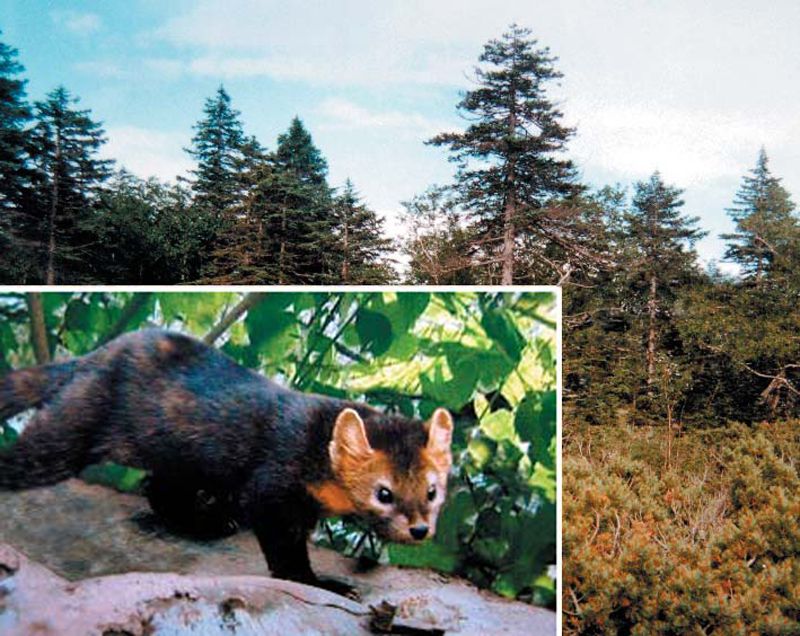 Today's News - Image 153