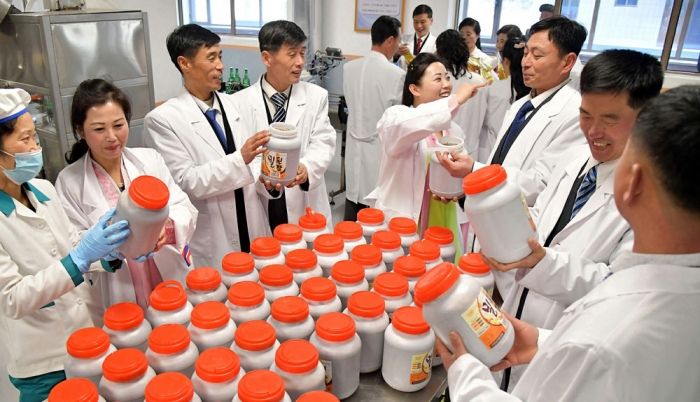 Regional-industry Factories Inaugurated in Kusong City of DPRK - Image 11