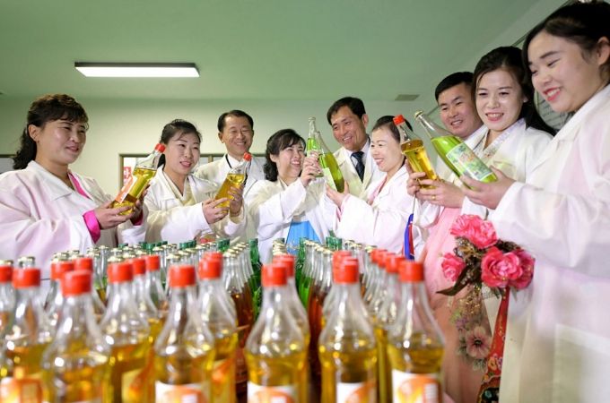 Regional-Industry Factories Inaugurated in Kujang County of DPRK - Image 16