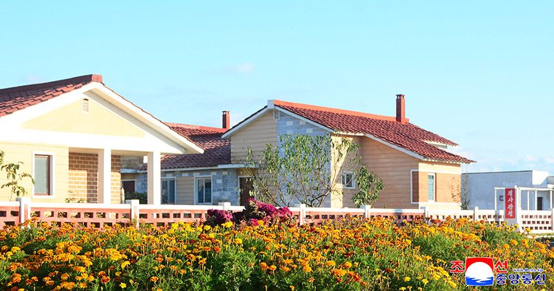 New houses built in Hamhung - Image 2