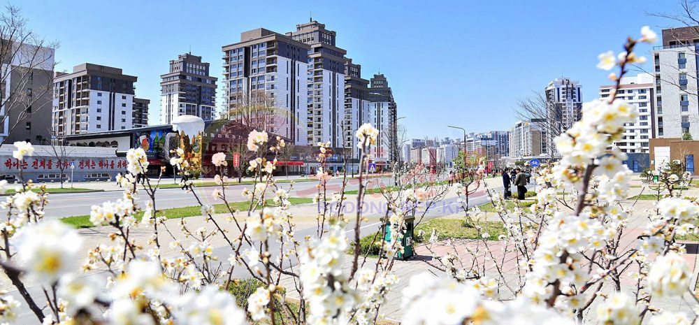 Capital City Full of Flower Fragrance