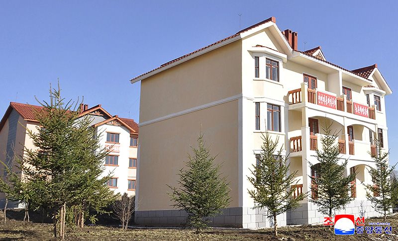 New villages built in Taehongdan County of Ryanggang Province