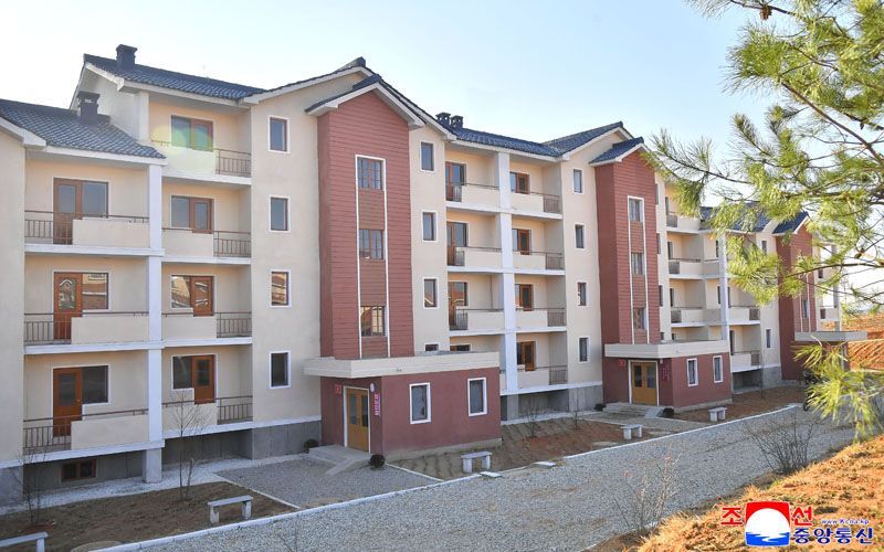 New houses built in Pyongyang Municipality