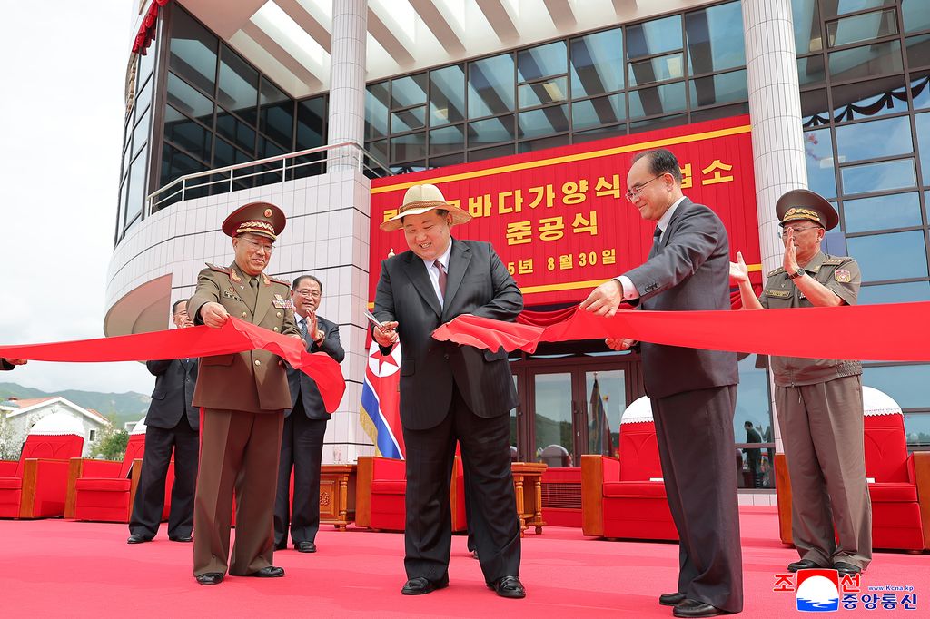 Another spectacular fairyland on east coast in new era of regional developmentInaugural ceremony of Ragwon County Offshore Farm takes place with splendour - Image 35