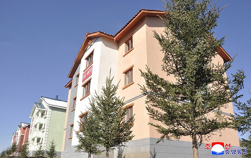 New villages built in Taehongdan County of Ryanggang Province - Image 3