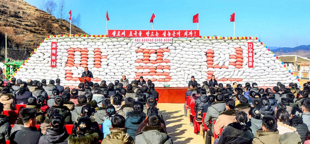 New Houses Built at Farms in South Hamgyong Province - Image 15